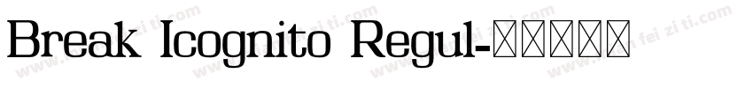 Break Icognito Regul字体转换